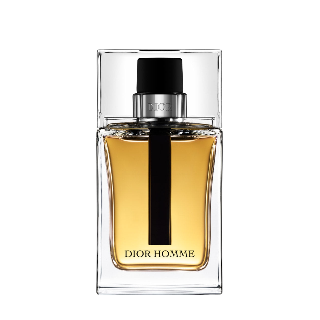 DIOR Dior Homme- edp 100ml